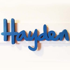 Hayden plaque