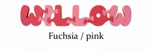 Willow wood name puzzle
